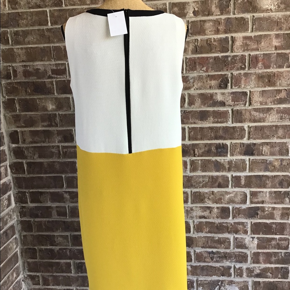 GIPSY Color Block Shift Dress - Picture 4 of 5
